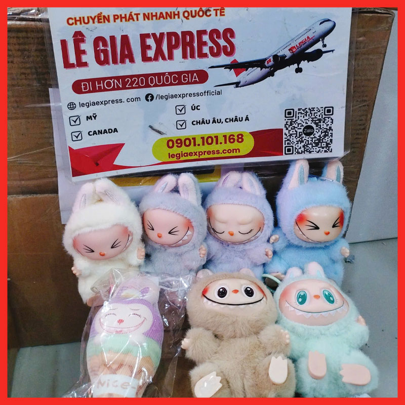 tang-qua-cho-nguoi-than-o-nuoc-ngoai-legiaexpress-3